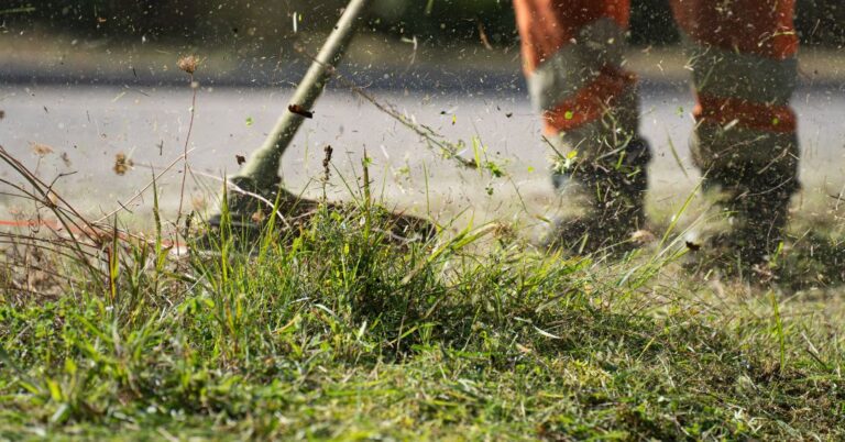 corte de grama em João Pessoa